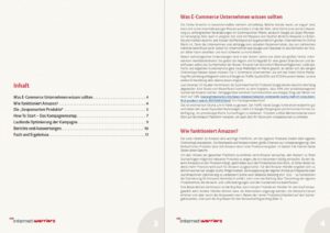 Vorschau Whitepaper - Schnellstart mit Amazon - Seite 3 und 4 - internetwarriors GmbH