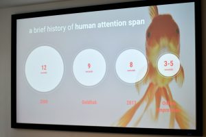 a brief history of human attention span - Präsentationsfolie - Fachkonferenz Online Marketing - internetwarriors