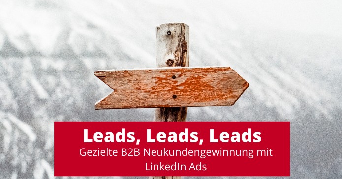 Leads, Leads, Leads – Gezielte B2B Neukundengewinnung mit LinkedIn Ads