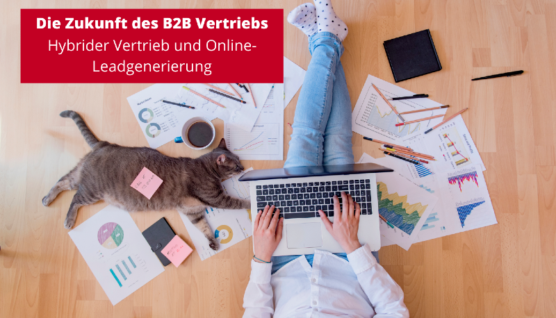 Banner Blogbeitrag - Zukunft des B2B Vertriebs - internetwarriors GmbH